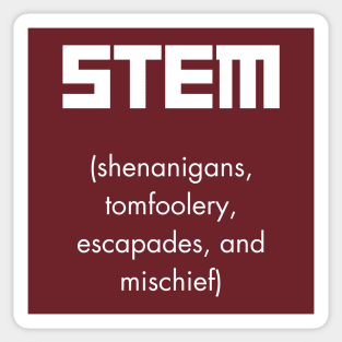 What STEM Means (White Text) Sticker